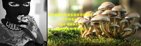 мескалин Богданович