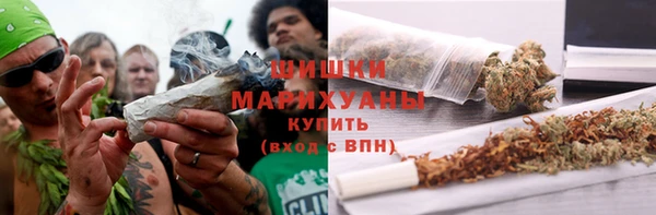 прущая мука Богородицк