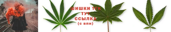 прущая мука Богородицк