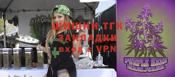 прущая мука Богородицк