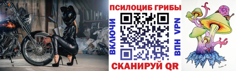 Псилоцибиновые грибы мухоморы  гидра как зайти  Козловка  это формула  продажа наркотиков 